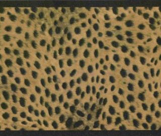 cheetah fur spots wallpaper border gkw0767