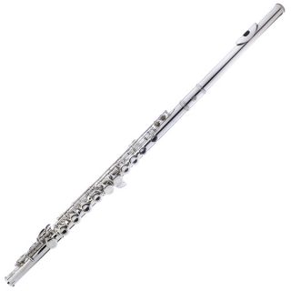 Cecilio Silver Nickel Plated School Band C Flute Stand