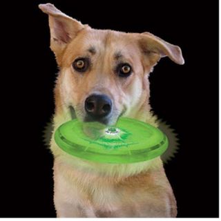 Many Color LED Light Up Flying Disc Night Fun Frisbee Beach Camping
