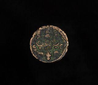 rare ancient Roman as coin of Emperor Galba, ( Servius Sulpicius Galba