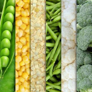 Lindon Farms Vegetables 320 Serving Freeze Dried Food Storage