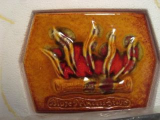 Blaze King Blaze Princess Wood Stove Ceramic Insert New