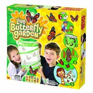  Insect Lore Live Butterfly Garden New