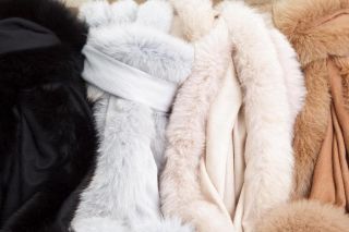 Genuine Fur Trimmed Pashmina Cashmere Silk Shawl
