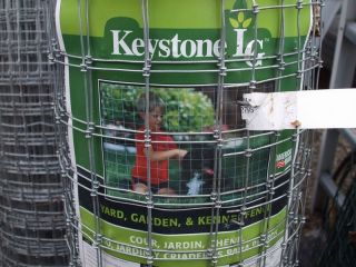 Keystone Yard Garden Kennel Fence Wire Fencing