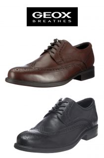 New 2012 Geox Uomo Carnaby A Mens Premium Leather Shoes Size 12 45 $