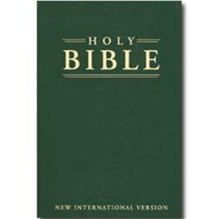 Giant Print NIV Bible   New International Version   recommended 1984