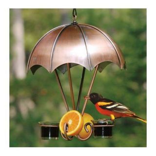 Copper Bird Feeder Brushed Copper Glass Umbrella
