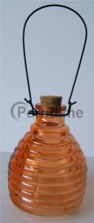 Glass Jar Wasp Flying Insect Bug Trap Catcher Pest