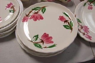 Handpainted Pottery Dinnerware by Canonsburg Pottery American Beauty