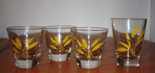 Lot of 4 Vintage Gold Wheat Dish Shot Drink Glasses 3 short &1 TALL