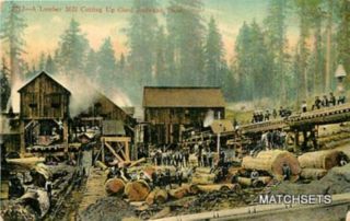 California A Lumber Mill Cutting Up Giant Redwood Postcard