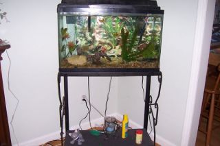 30 GALLON GLASS FISH TANK W STAND AND ESSENTIALS PICKUP ONLY Pembroke