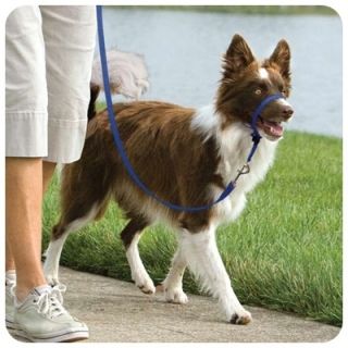 Premier Dog Gentle Leader Headcollar Dogs Stop Pulling Collar Leash