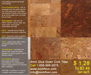 6mm Glue Down Cork Tile – Cork Floor Flooring Sample