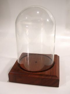 Vintage Glass Display Dome Doll Case Taxidermy Raised Wood Base Mid