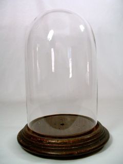 Antique Round Glass Display Dome Wood Base for Taxidermy Doll Clocks