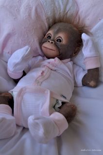 Bundles of Love Reborn Baby Orangutan by Melissa George