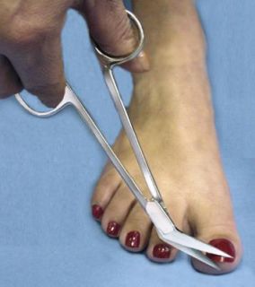  will Receive 1x Extra Long Shank Surgical Toe & Finger Nail Scissors