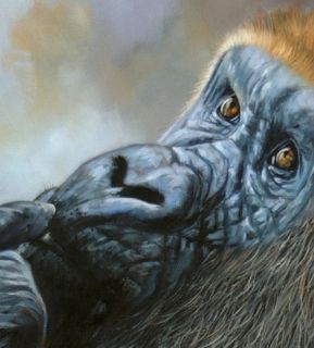 Gorilla Superb New David Stribbling Oil Painting