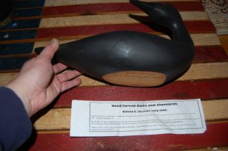 Will Gosselin Hand Carved Red Eyed Black Duck A Beauty