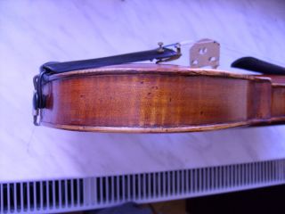 Old Violin Italian Label Gioacchino Trotto