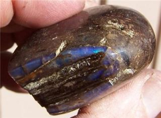 Petrified Wood Opal Beauty 50 grams Virgin Valley