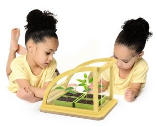 Hape Eco Greenhouse Dollhouse Accessory Wooden Toy 25314