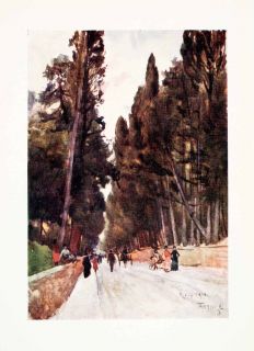  Print Tuscany Florence Italy Goff Cypress Avenue Poggio Imperiale Art