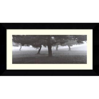  the Fog by Richard Calvo, Framed Print Art   13.49 x 24.99