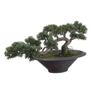 14 Trailing Cedar Artificial Bonsai Tree with Pot in Green