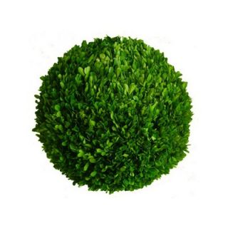 Mills Floral Boxwood 16 Ball   873SS0120
