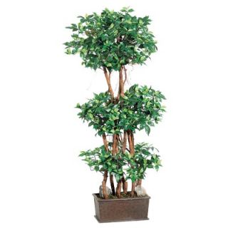 Tori Home 48 Mini Ficus Wall Tree with Wooden Container in Green