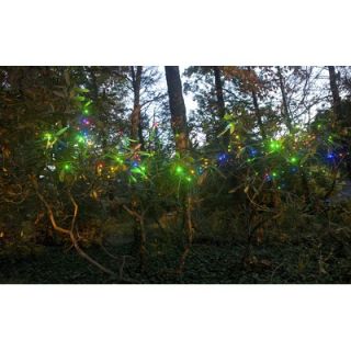 Mr. Light 50 LED Solar String Lights with Green Wire in Multicolor