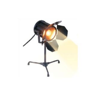 Bass Spotlight Accent Lamp   SPOTLT LAMP