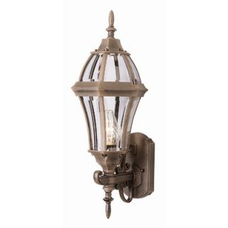 TransGlobe Lighting Outdoor 22 Wall Lantern with Beveled Glass Shade