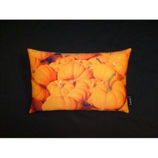 Orange Accent Pillows