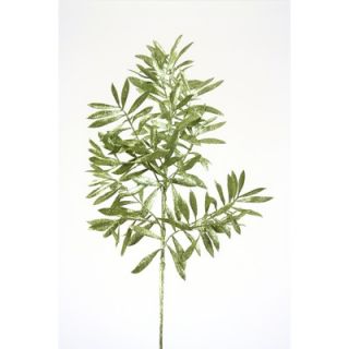 Distinctive Designs Artificial Glittered Olive Leaf Spray   XS 109