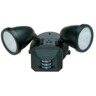 Ariel Outdoor Motion Detector and Photo Cell Spotlight with Frosted