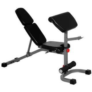 Mark FID Weight Bench with Preacher Curl