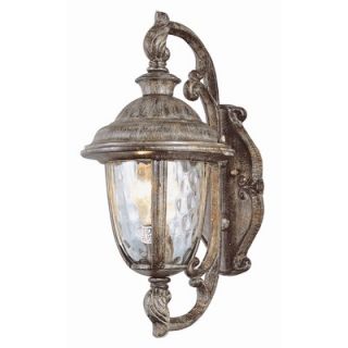 TransGlobe Lighting Exterior Wall Lantern in Burnished Rust   5900
