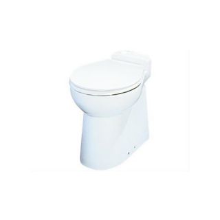 Elongated Toilet Bowl Toilets