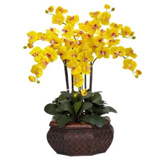 Nearly Natural Large Phalaenopsis Silk Flower Arrangement in Yellow