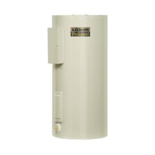 Reliance 3,800 Watt 240 Volt Electric Water Heater Element   9000136
