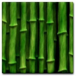 Tropical Green Bamboo Wall Ceramic Art Tile Coaster New