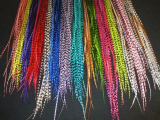 105 Beads Tools Included All Grizzly Feather Hair Extensions Kit DD