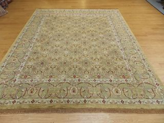  Gold Light Green Hand Knotted Plush Wool Indo Persian Oriental Rug New
