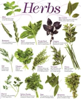 Herb Growing cd Herbal Medicines Herb Garden 29 Bks Culinary Medicinal