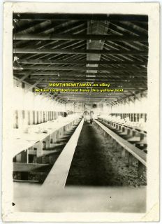 1917 Photo Texas Camp MacArthur Mess Hall Co A St Wisconsin Infantry