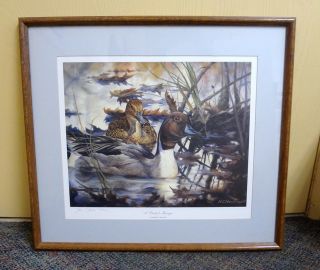 Pintail Mirage by Heiner C Hertling   Signed Ducks Unlimited